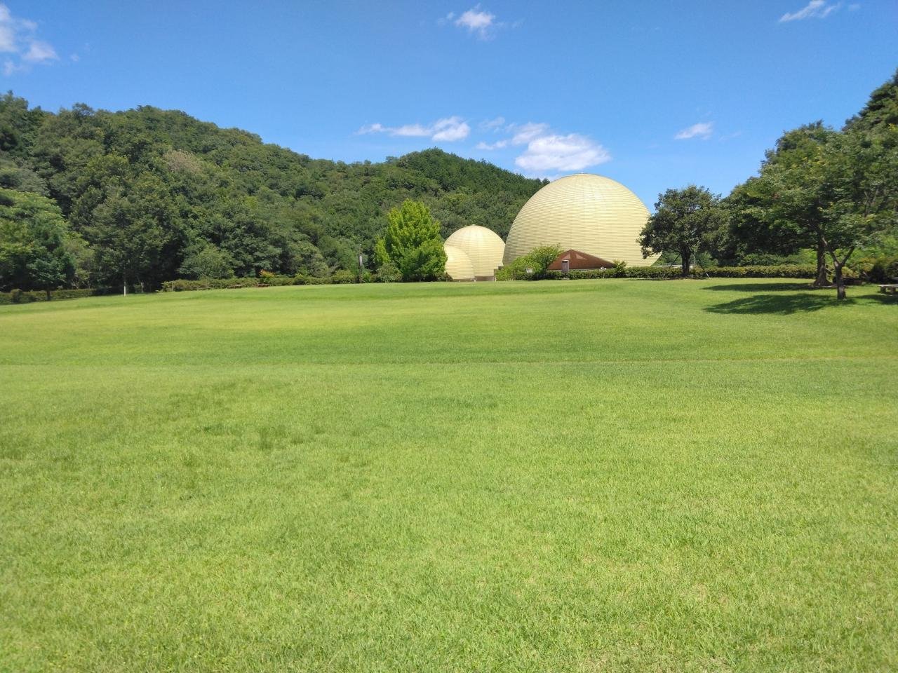 出合いの森